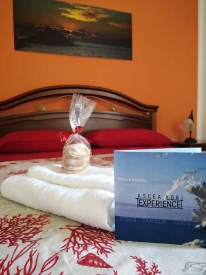 Asceaexperience Rooms Esterno foto